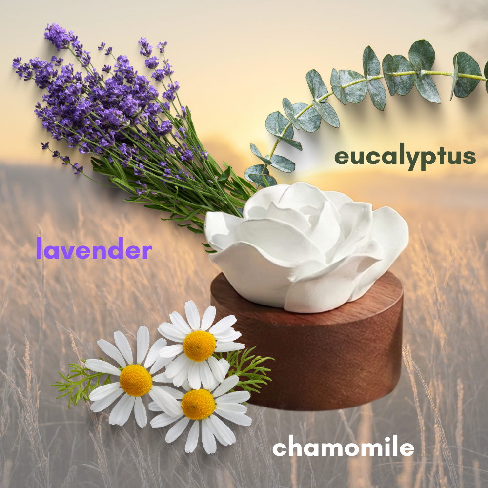 The Sleep Well Diffuser Starter Set